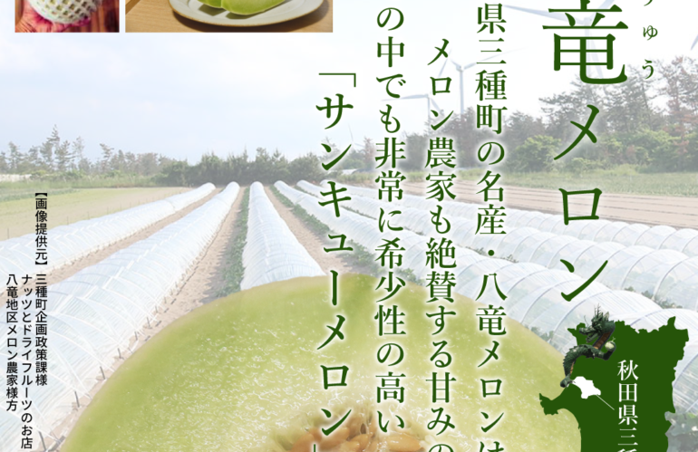 秋田県三種町八竜地区のみで作られてる貴重なメロン『サンキューメロン』を紹介